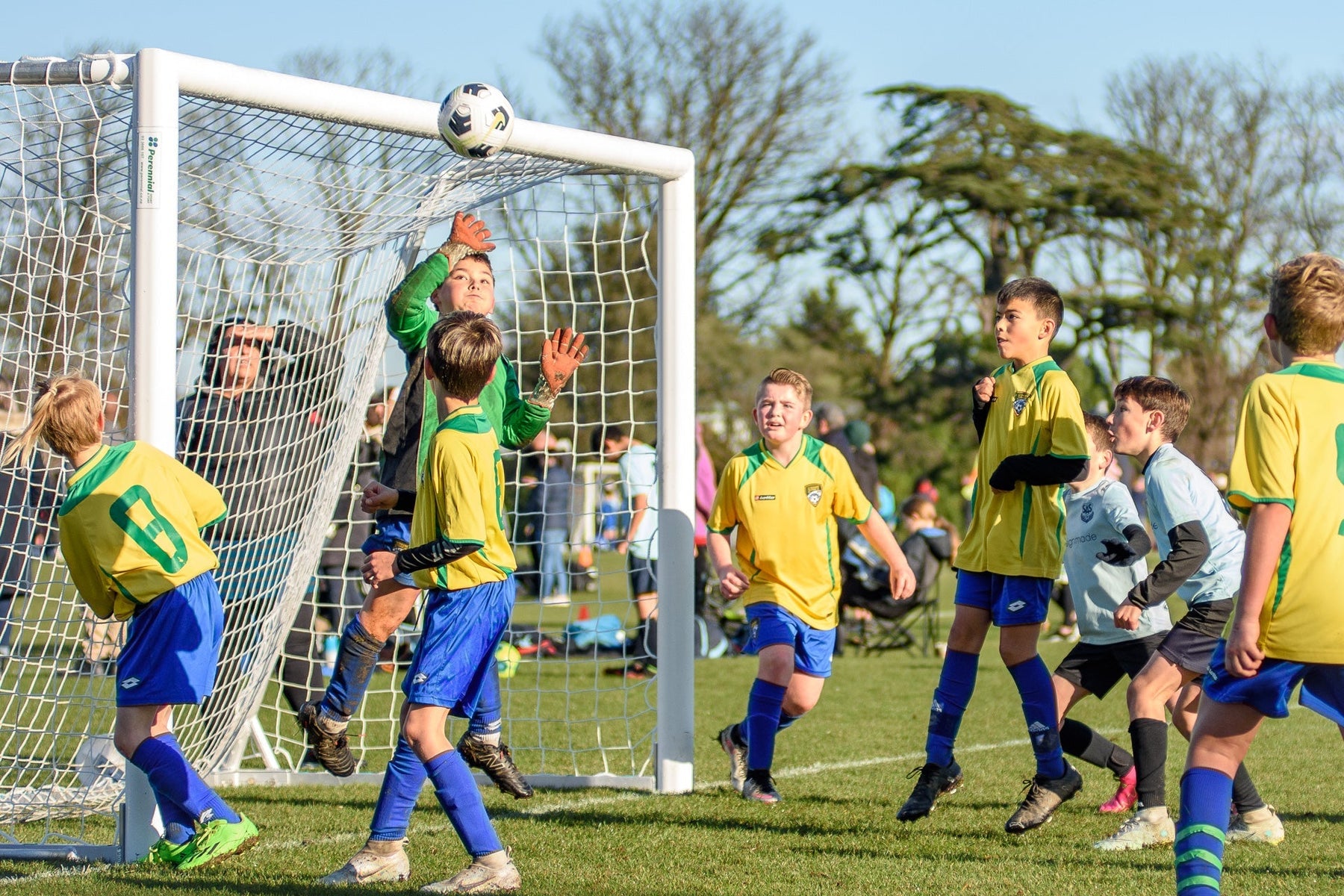 Investing in quality goals for long-term performance