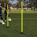1m Alpha Agility Pole with Rubber Base 4pk