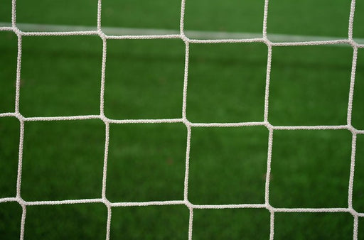 Leon de Oro Football Net