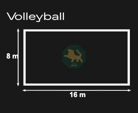 Beach Volleyball Lines