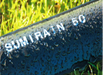 Sumi Rain 50 Sumi Soaker irrigation hose
