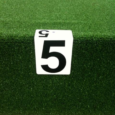 Hanging Rink Number - standard