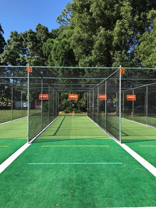 Permanent Cricket Cages and Netting